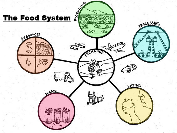 Food Sustainability – ANHE